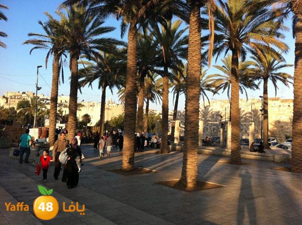 byareq 2 busses (23).jpg